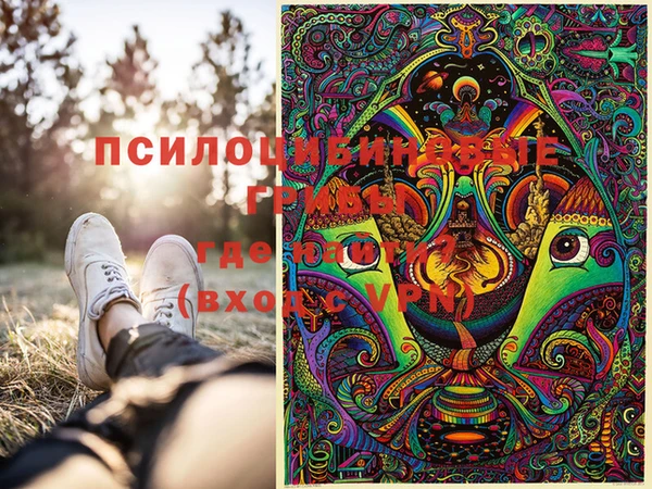 марки lsd Богданович