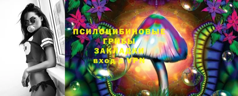 где купить   Миллерово  Галлюциногенные грибы Magic Shrooms 